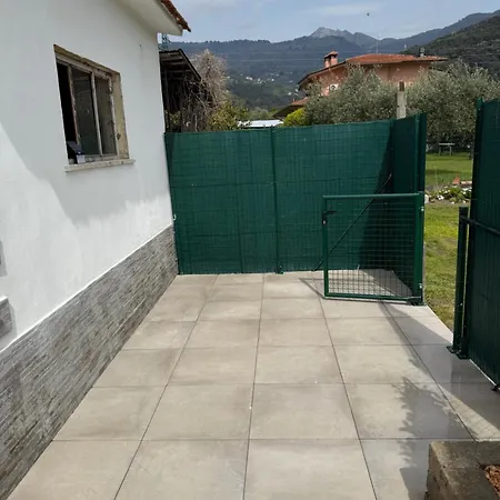 Emily House Montignoso